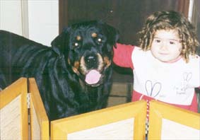 album de familia